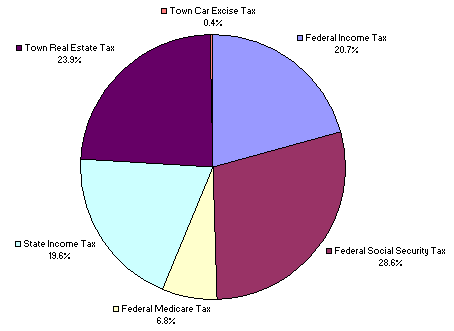 Graph of 2007 taxes
